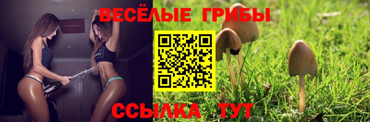 Галлюциногенные грибы ЛСД Керчь